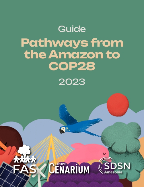 Guide - Pathways from the  to COP28 - FAS - Fundação